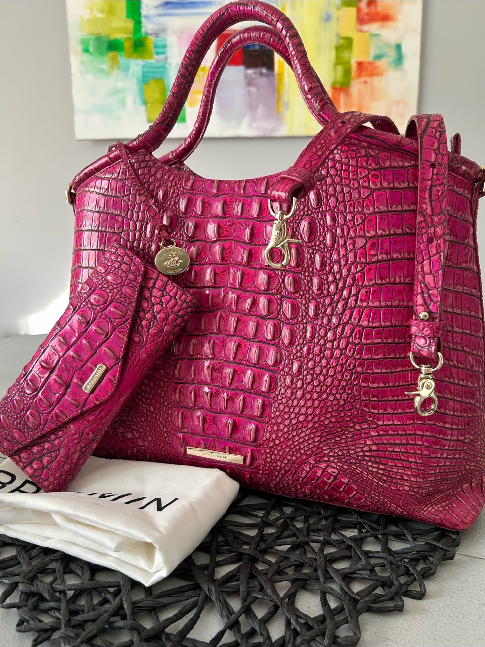💕 Brahmin Elaine Potion Melbourne Leather Satchel  Bag & Veronica Wallet